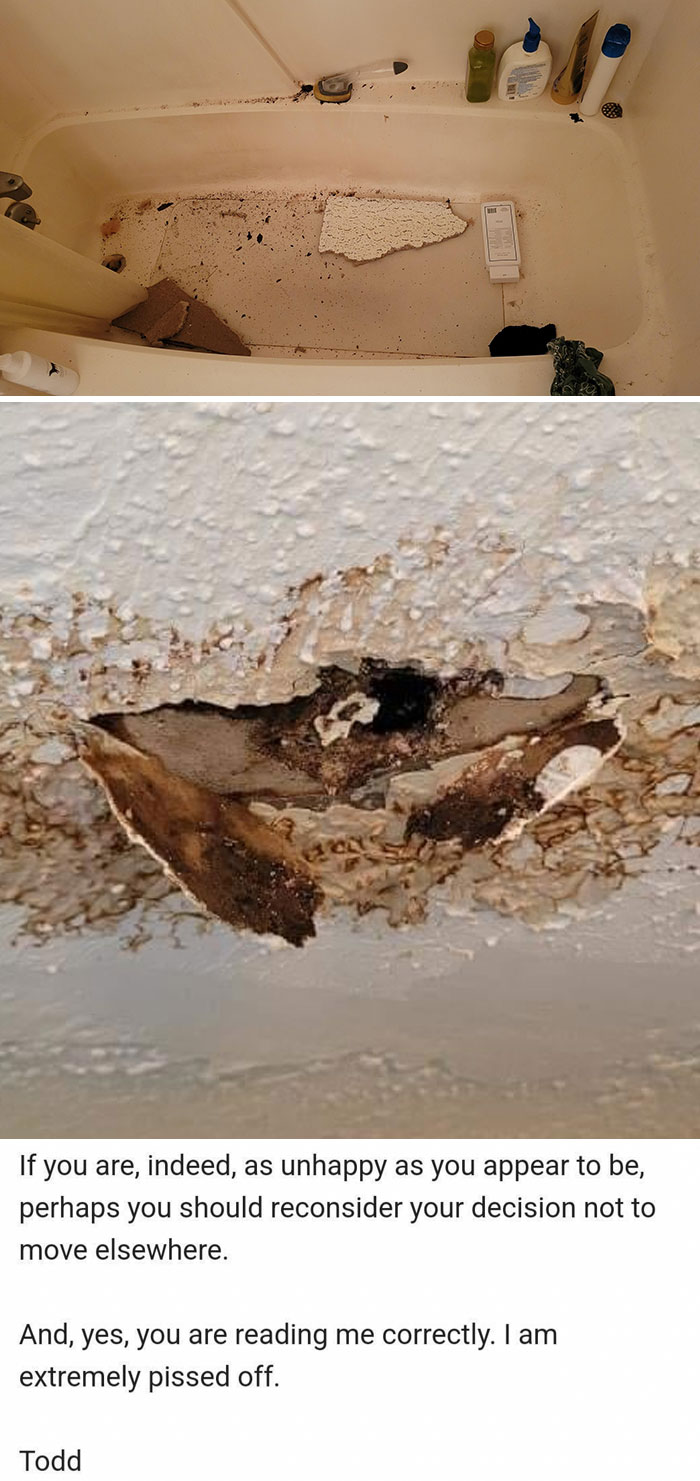Landlord Suggests We Move Instead Of Repairing Leaky Ceilings