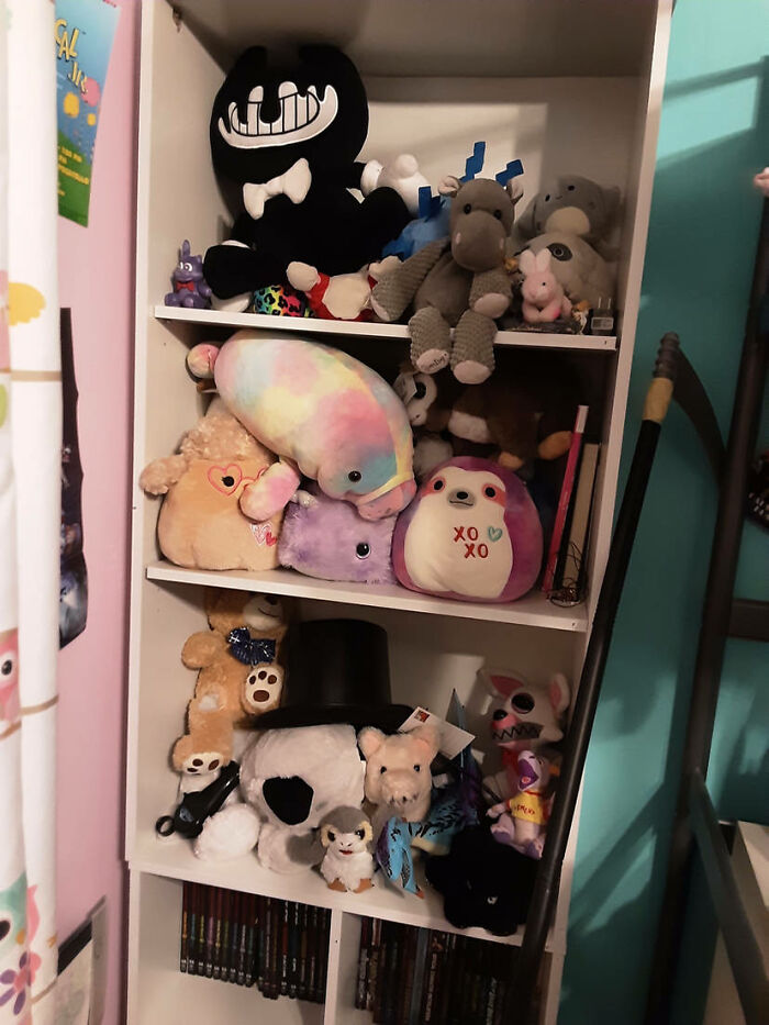 I Have Too Many Stuffed Animals