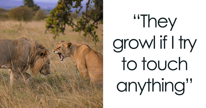 “What’s Something In [A Person’s] Kitchen That Immediately Tells You They’re A Good Cook?”