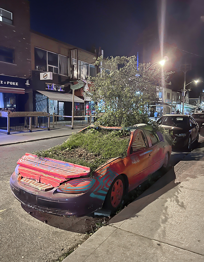 I Found A Car In Toronto Overgrown With Plants, On A Busy Street Parked Beside Other Cars