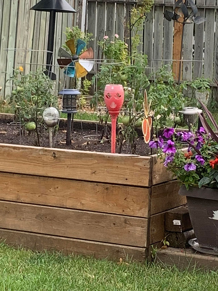 Things-With-Faces-Pics