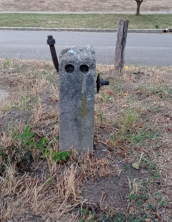 Things-With-Faces-Pics