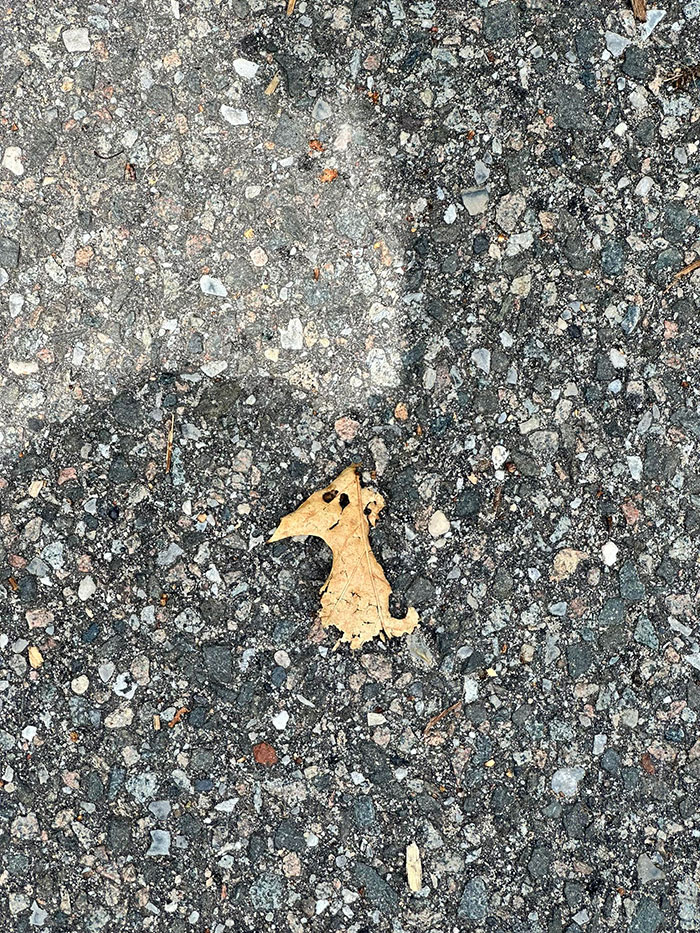 Things-With-Faces-Pics