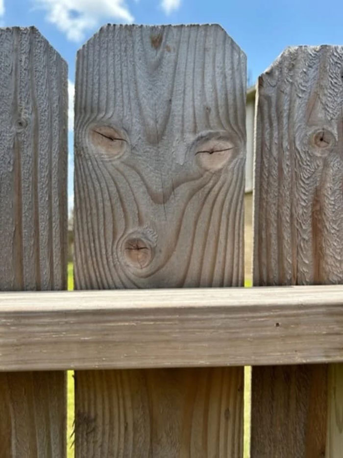 Things-With-Faces-Pics