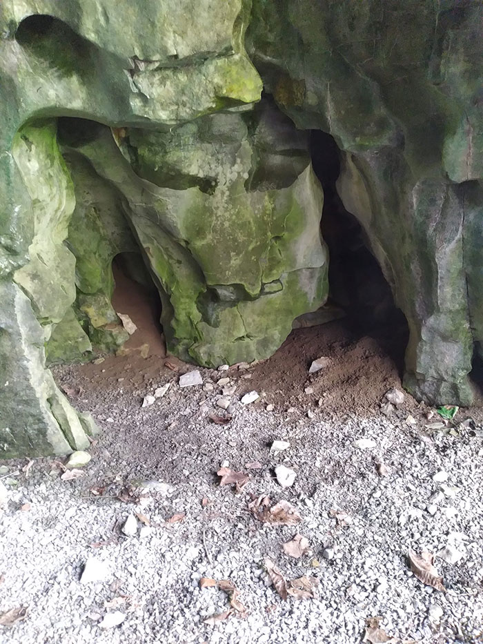 Things-With-Faces-Pics