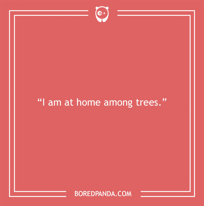 Tolkien quote about home