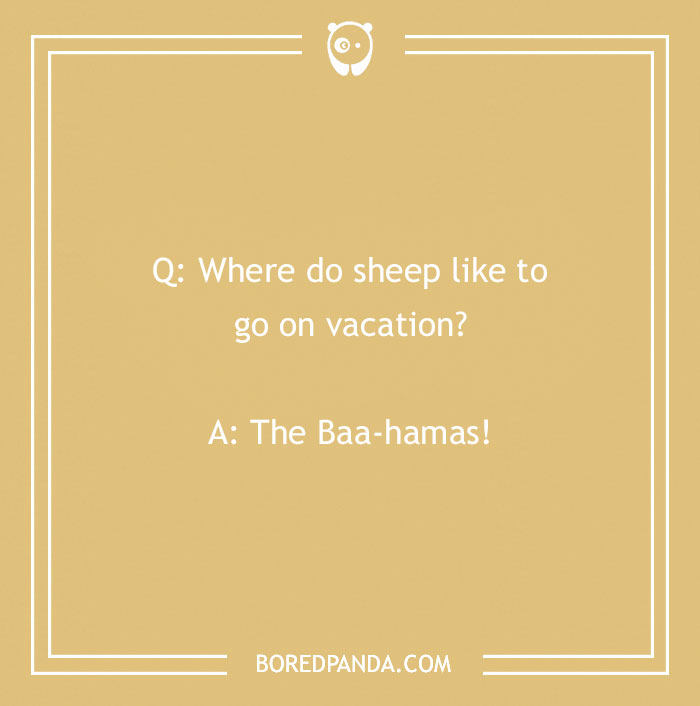 92 Travel Jokes To Quench Your Wanderlust