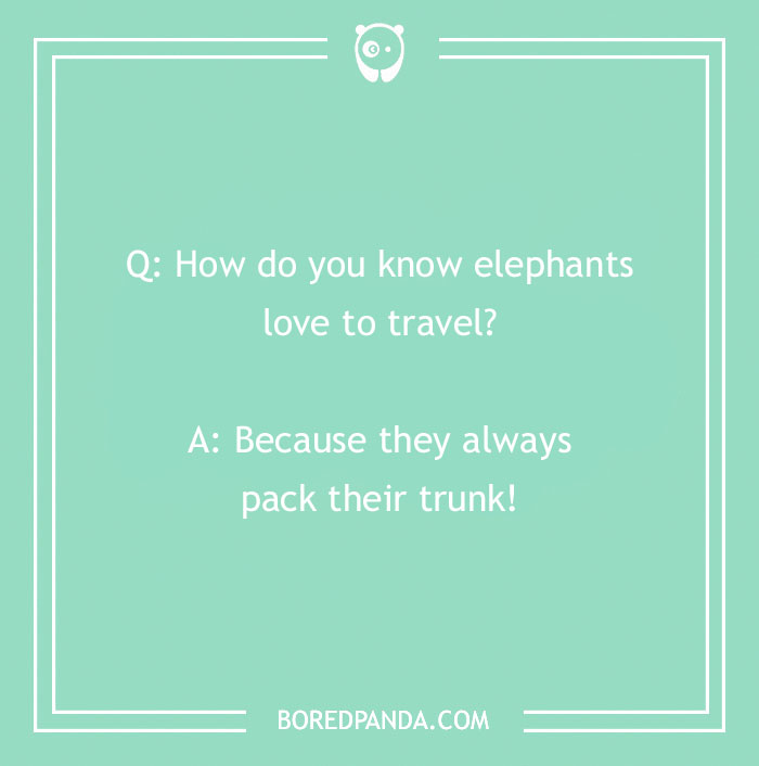 92 Travel Jokes To Quench Your Wanderlust