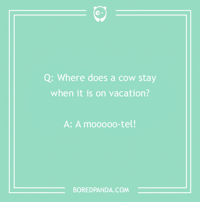 92 Travel Jokes To Quench Your Wanderlust
