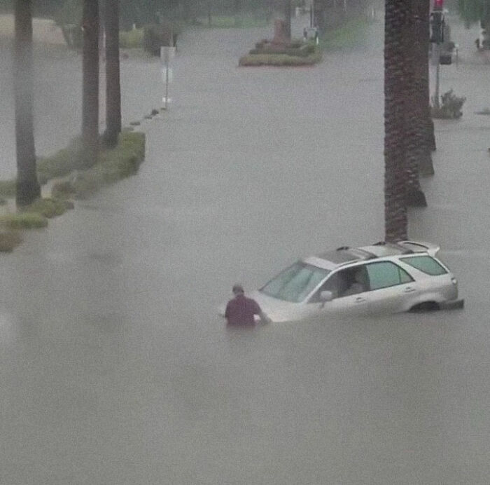 Earthquake And Storm Hit California, People Are Forced To Climb Trees To Escape Floodwaters And Mudslides Earthquake And Storm Hit California, People Are Forced To Climb Trees To Escape Floodwaters And Mudslides