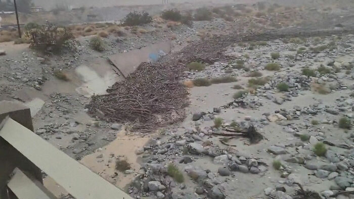 Earthquake And Storm Hit California, People Are Forced To Climb Trees To Escape Floodwaters And Mudslides Earthquake And Storm Hit California, People Are Forced To Climb Trees To Escape Floodwaters And Mudslides