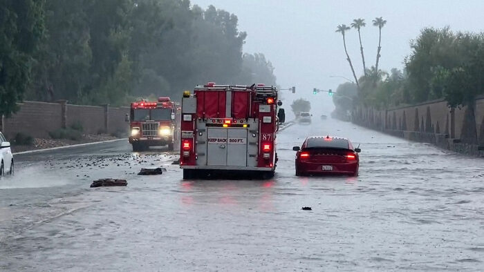 Earthquake And Storm Hit California, People Are Forced To Climb Trees To Escape Floodwaters And Mudslides Earthquake And Storm Hit California, People Are Forced To Climb Trees To Escape Floodwaters And Mudslides