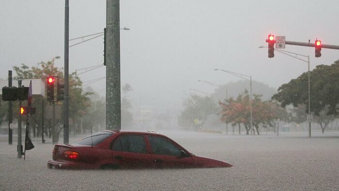 Earthquake And Storm Hit California, People Are Forced To Climb Trees To Escape Floodwaters And Mudslides Earthquake And Storm Hit California, People Are Forced To Climb Trees To Escape Floodwaters And Mudslides