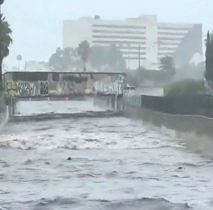 Earthquake And Storm Hit California, People Are Forced To Climb Trees To Escape Floodwaters And Mudslides Earthquake And Storm Hit California, People Are Forced To Climb Trees To Escape Floodwaters And Mudslides