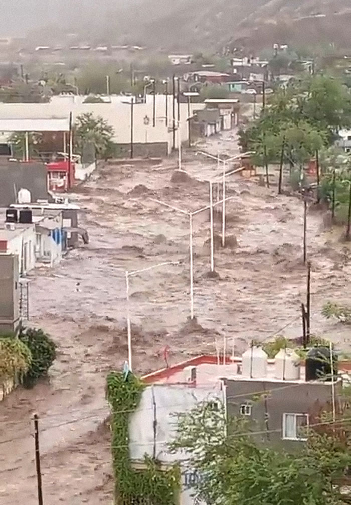 Earthquake And Storm Hit California, People Are Forced To Climb Trees To Escape Floodwaters And Mudslides Earthquake And Storm Hit California, People Are Forced To Climb Trees To Escape Floodwaters And Mudslides