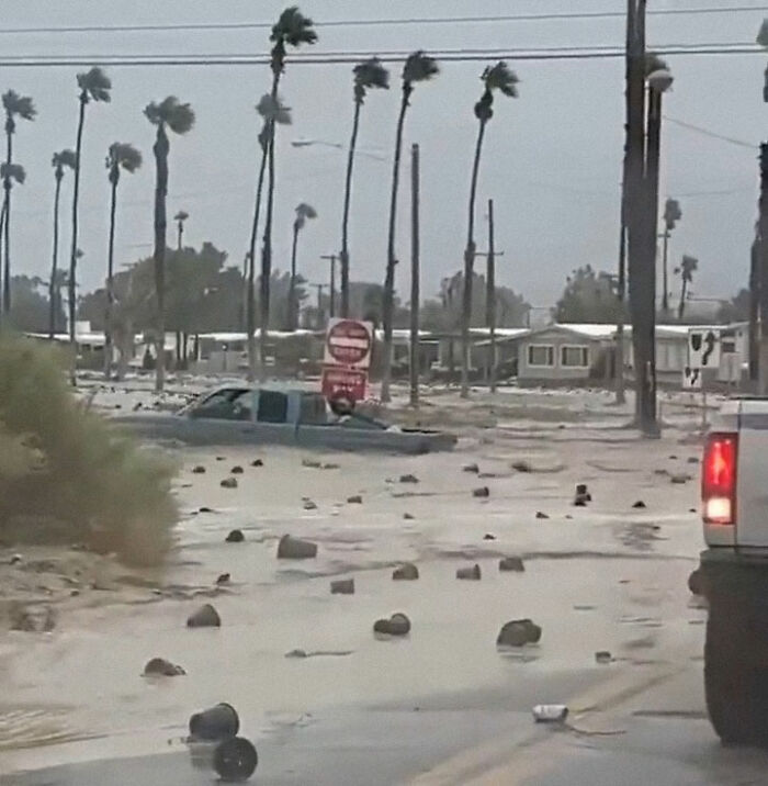 Earthquake And Storm Hit California, People Are Forced To Climb Trees To Escape Floodwaters And Mudslides Earthquake And Storm Hit California, People Are Forced To Climb Trees To Escape Floodwaters And Mudslides