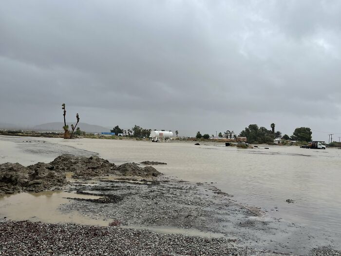 Earthquake And Storm Hit California, People Are Forced To Climb Trees To Escape Floodwaters And Mudslides Earthquake And Storm Hit California, People Are Forced To Climb Trees To Escape Floodwaters And Mudslides
