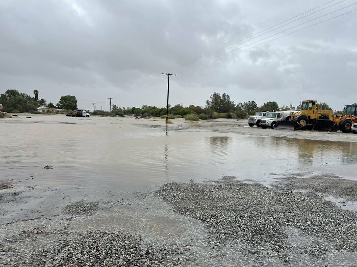 Earthquake And Storm Hit California, People Are Forced To Climb Trees To Escape Floodwaters And Mudslides Earthquake And Storm Hit California, People Are Forced To Climb Trees To Escape Floodwaters And Mudslides
