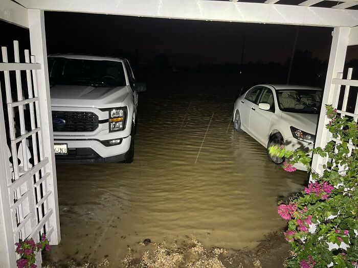 Earthquake And Storm Hit California, People Are Forced To Climb Trees To Escape Floodwaters And Mudslides Earthquake And Storm Hit California, People Are Forced To Climb Trees To Escape Floodwaters And Mudslides