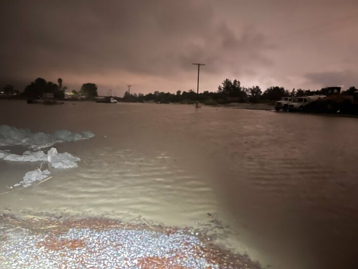 Earthquake And Storm Hit California, People Are Forced To Climb Trees To Escape Floodwaters And Mudslides Earthquake And Storm Hit California, People Are Forced To Climb Trees To Escape Floodwaters And Mudslides