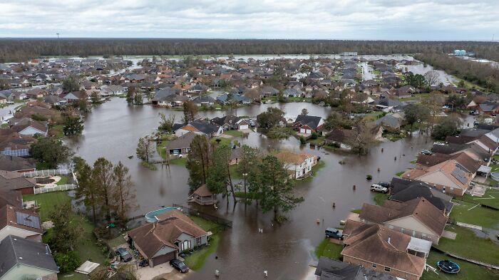 Earthquake And Storm Hit California, People Are Forced To Climb Trees To Escape Floodwaters And Mudslides Earthquake And Storm Hit California, People Are Forced To Climb Trees To Escape Floodwaters And Mudslides