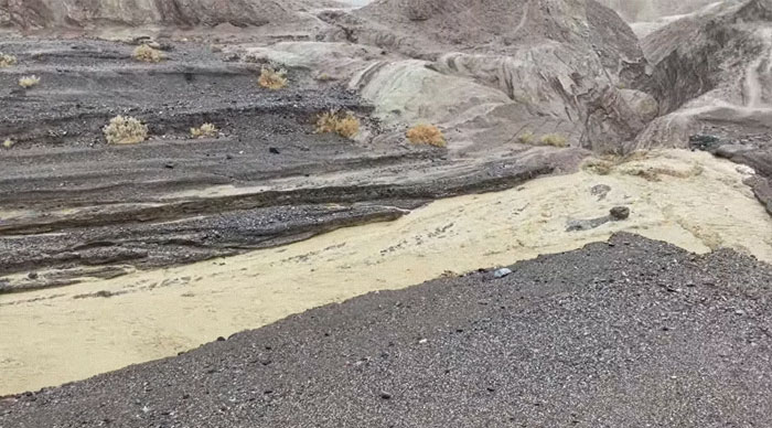 Earthquake And Storm Hit California, People Are Forced To Climb Trees To Escape Floodwaters And Mudslides Earthquake And Storm Hit California, People Are Forced To Climb Trees To Escape Floodwaters And Mudslides