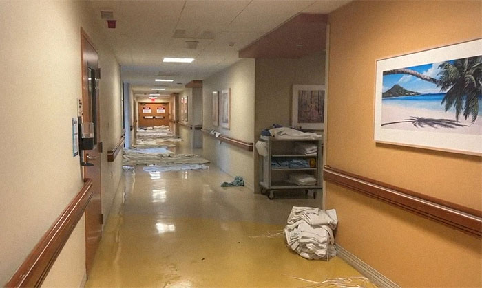 Earthquake And Storm Hit California, People Are Forced To Climb Trees To Escape Floodwaters And Mudslides Earthquake And Storm Hit California, People Are Forced To Climb Trees To Escape Floodwaters And Mudslides