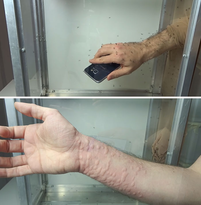 Sacrificed His Hand To Test An Ultrasound Mosquito Repeller