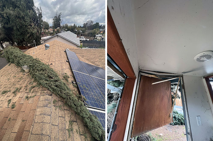 Neighbor's Insurance Doesn't Want To Pay For Damages Due To It Being Caused By Nature
