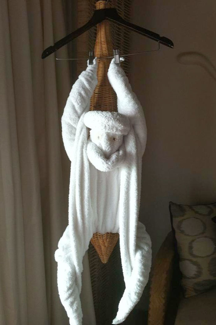 Hotel Guy Got Creative With Our Towels And Freaked Me Out