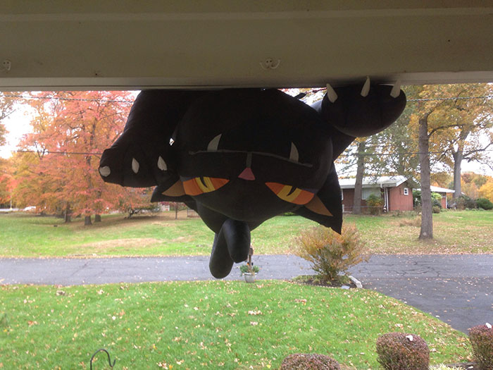 For Halloween I Had An Inflatable Cat On My Roof. Last Night It Was Very Windy. This Is What Greeted Me When I Opened The Door This Morning