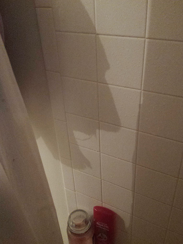 Mini Heart Attack Caused By The Shadow Of My Towel