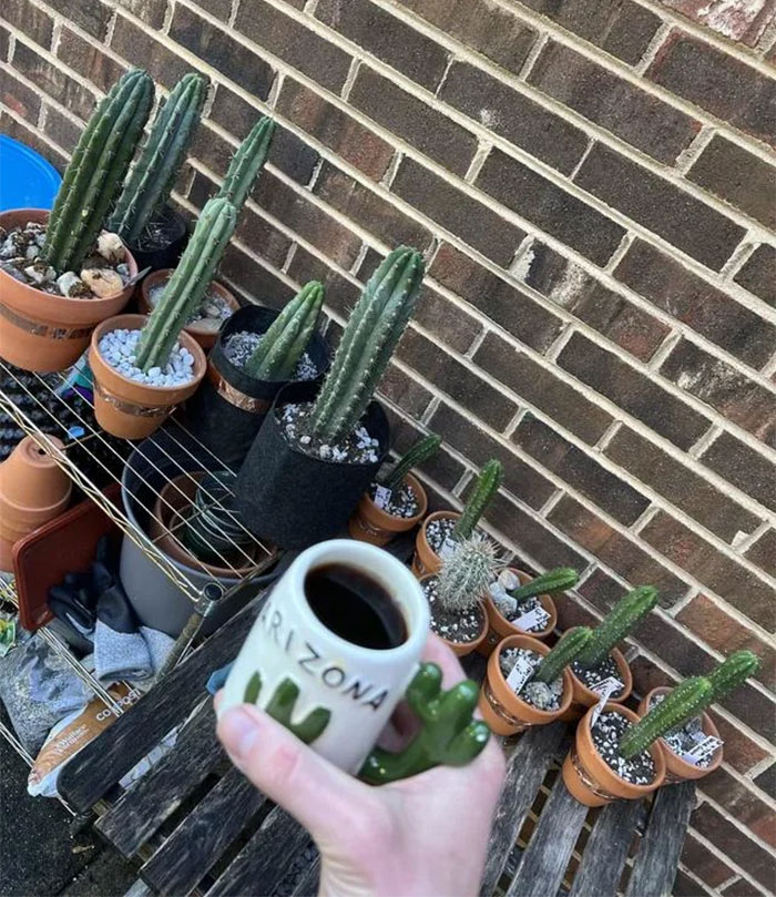 My Cacti Friend Told Me About This Sub (Which Is So Cool Btw) And That You Guys Would Like My Mug!