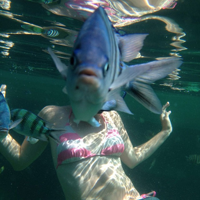 My Friend Tried To Take An Underwater Photo Of His Wife During Their Honeymoon My Friend Tried To Take An Underwater Photo Of His Wife During Their Honeymoon