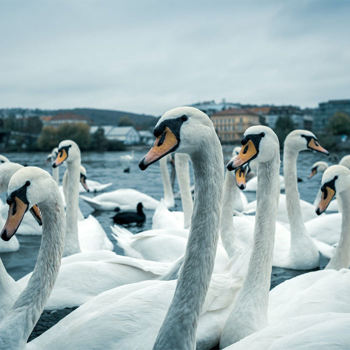 116 Weird Facts That You Just Have To Know