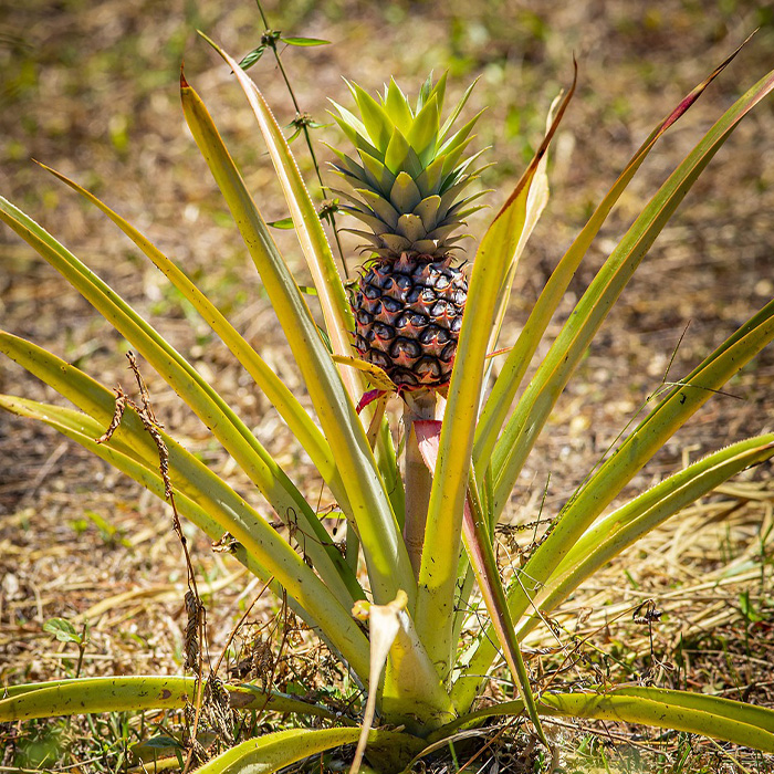 116 Weird Facts That You Just Have To Know