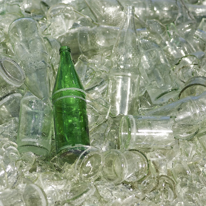 116 Weird Facts That You Just Have To Know