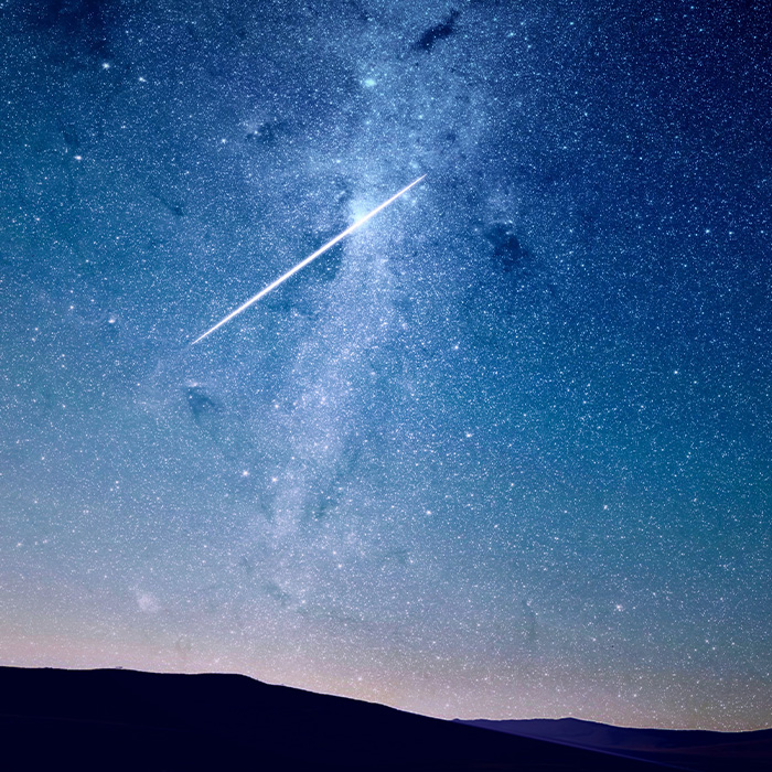 116 Weird Facts That You Just Have To Know