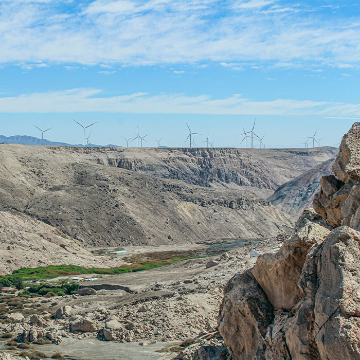 116 Weird Facts That You Just Have To Know