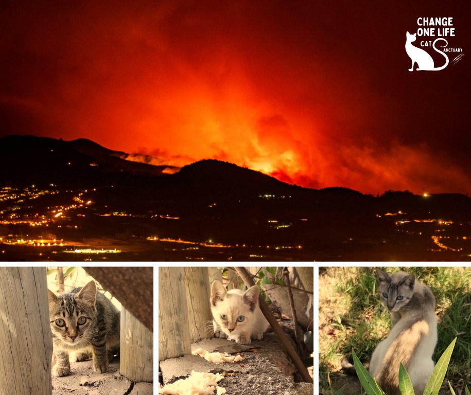 Wildfires Rapidly Spreading Closer To Our Area