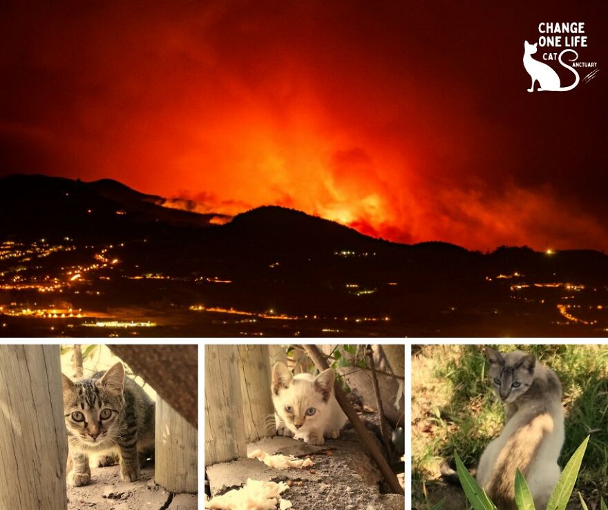 Wildfires Rapidly Spreading Closer To Our Area