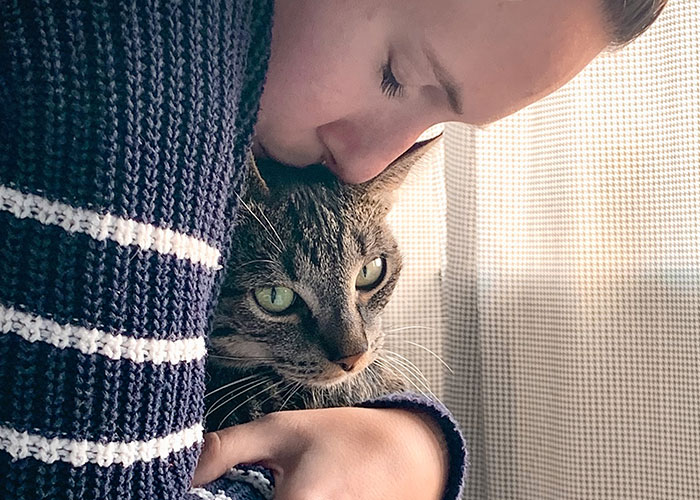 Woman Chooses Her Elderly Cat Over Fiancé And His Pregnant Daughter, Gets Full Support Online