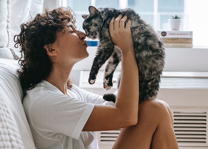 Woman Chooses Her Elderly Cat Over Fiancé And His Pregnant Daughter, Gets Full Support Online Woman Chooses Her Elderly Cat Over Fiancé And His Pregnant Daughter, Gets Full Support Online