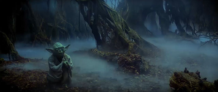 Yoda sitting in the fields full of fog