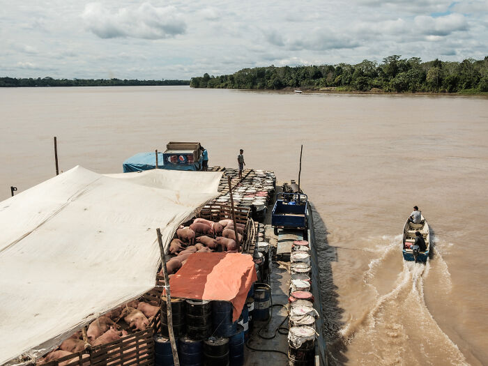Eduardo 7 departs on a journey from Yurimaguas to Iquitos