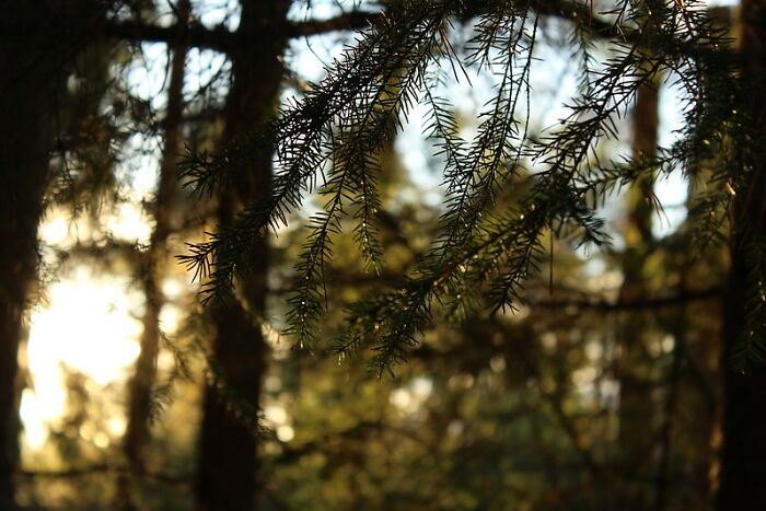 Folks Who Speak Several Languages Point Out 30 Concepts English Doesn’t Have A Word For