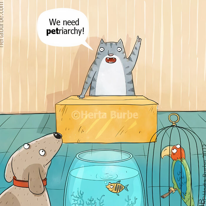 These Comics Will Make Your Day, We Are Sure Of That