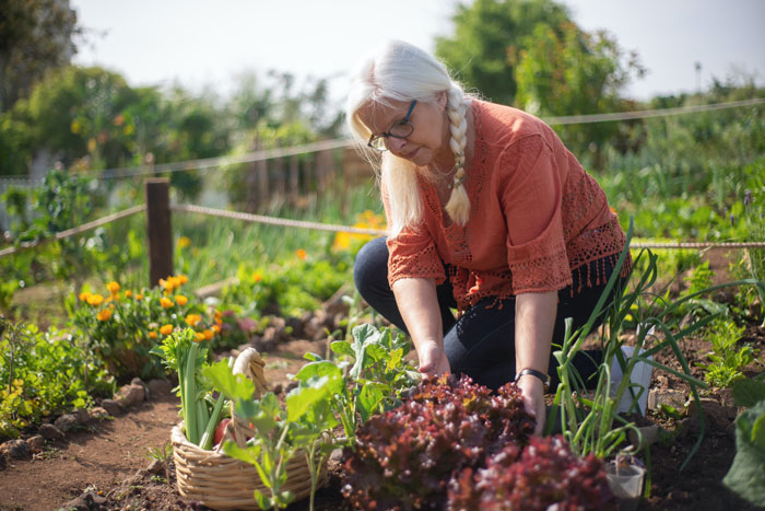 Woman Warns Baby's Nanny Not To Touch Her Flower Garden, Finds That Everything Has Been Dug Up Woman Warns Baby's Nanny Not To Touch Her Flower Garden, Finds That Everything Has Been Dug Up