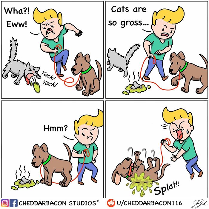 Cat vs dog 
