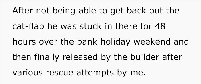 Cat Breaks Into Neighbor’s New Home, They Are Furious And Ask For $2,000 Cat Breaks Into Neighbor’s New Home, They Are Furious And Ask For $2,000